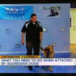 Michael Burkey, michigan Dog Training, Plymouth, Michigan, dog obedience, dog training