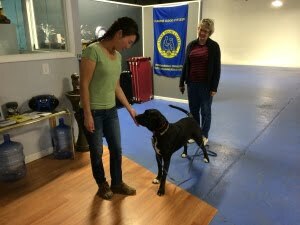 Michigan Dog Training, meeting a dog, Plymouth, Michigan