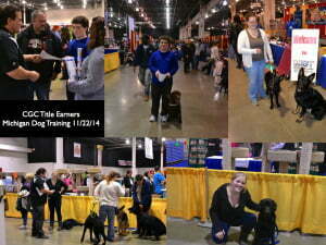 Michigan Dog Training, Service Dog, Service Dog in Training, Diabetic Alert Dog