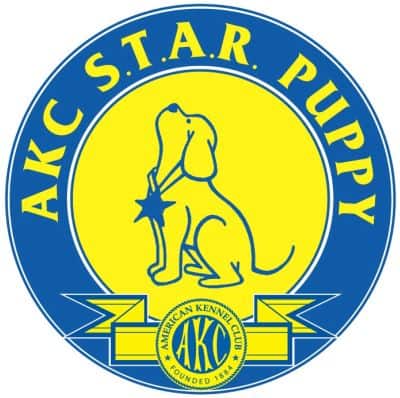 Michigan Dog Training, American Kennel Club, AKC, STAR Puppy, Star Puppy, S.T.A.R. Puppy