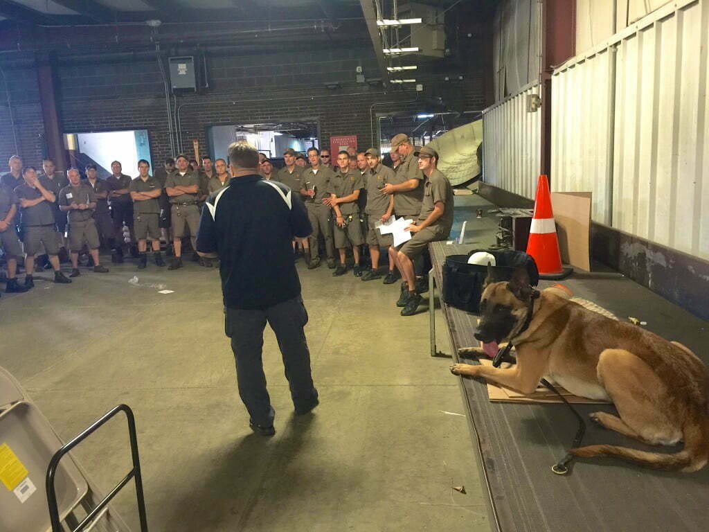 Michigan Dog Training, Michael Burkey, Dog Bite Prevetion tips, United Parcel Service, UPS, Belgian Malinois