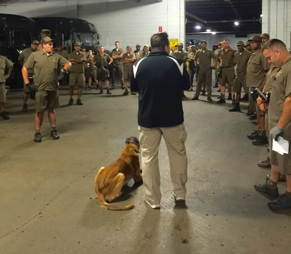 Michigan Dog Training, Michael Burkey, Plymouth, Michigan, Dog Bite Prevention tips