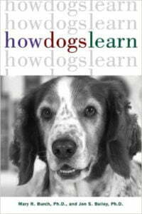 How dogs learn, Michigan Dog Training, Michael Burkey