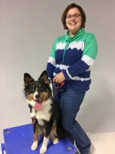 Michigan Dog Training, Plymouth, Michigan, dog aggression, dog aggression rehab, dog aggression rehabilitation