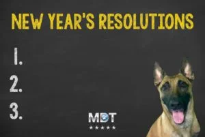 dog training, new year's resolutions, Michigan Dog Training, Plymouth, Michigan