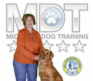 Michigan Dog Training, Plymouth, Michigan, Service Dog, Service Dog in Training, Mobility Service Dog, Advanced Canine Good Citizen, Advanced CGC, Community Canine Good Citizen