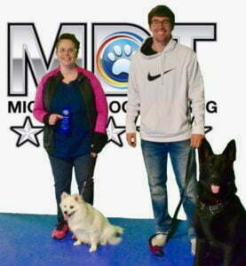 German Shepherd, American Eskimo, Michigan Dog Training, Plymouth, Michigan, Canine Good Citizen, CGC