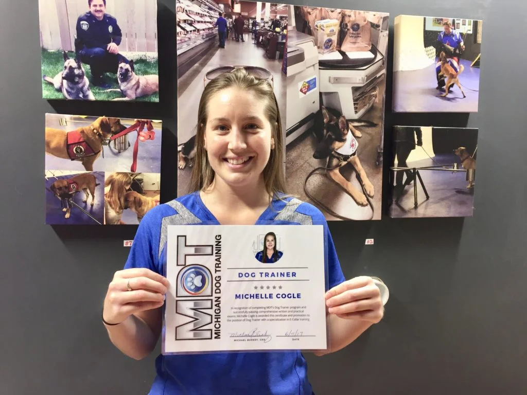 Michelle Cogle, Michigan Dog Training, Plymouth, Michigan, Dog Trainer
