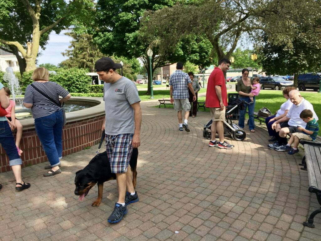 Michigan Dog Training, Rottweiler, Plymouth, Michigan, CGCU, Canine Good Citizen Urban