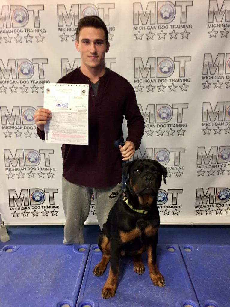CGCA, Rottweiler, Rottweiler puppy, puppy training, private dog training lessons