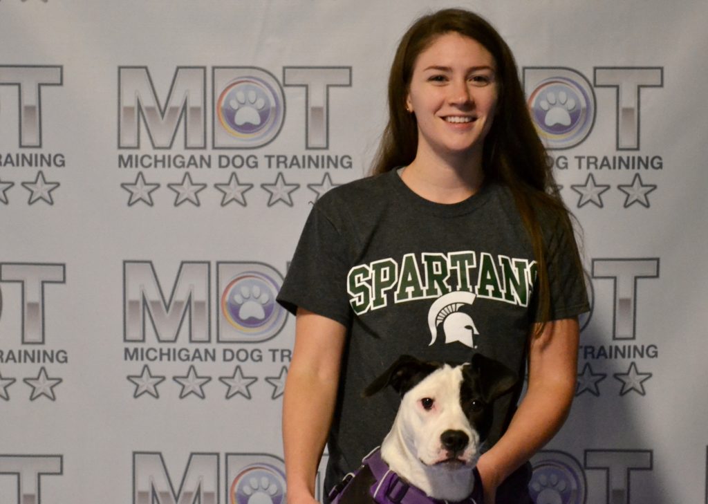 Michigan Dog Training, CGC, Canine Good Citizen, Plymouth, Michigan
