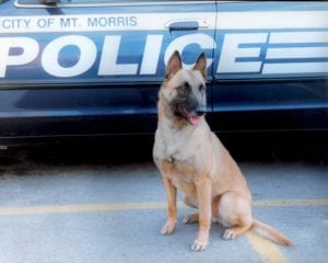 Police Dog, Michael Burkey, Michigan Dog Training
