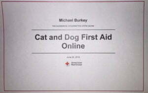 Michael Burkey, CEO of Michigan Dog Training