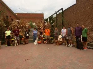 canine good citizen training