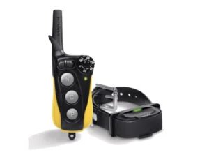 Dogtra IQ (for small dogs)