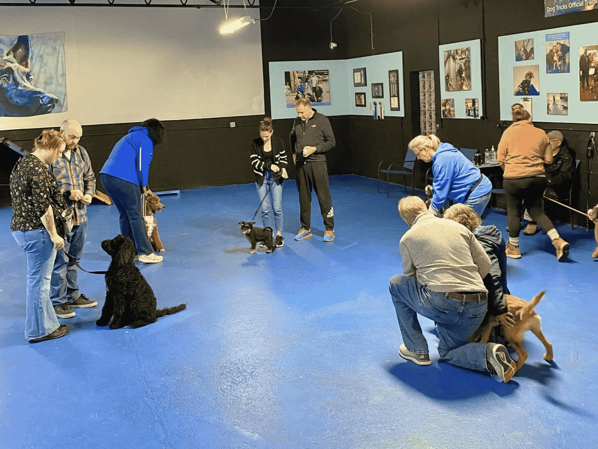 A group of people and their dogs participating in a puppy socialization class in an indoor training facility.