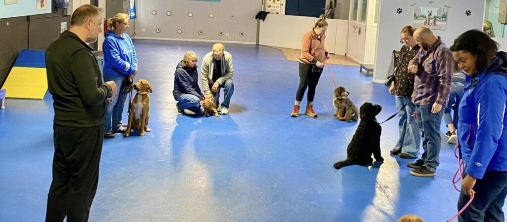Dog owners and their pets participating in a group dog training class on a blue indoor floor.