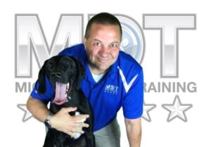 Michael Burkey, CEO & Dog Behaviorist at Michigan Dog Training in Plymouth, Michigan poses with his dog Hunter, a high energy and hilarious German Shorthair Pointer.