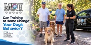 Transform Your Dog’s Behavior at Home