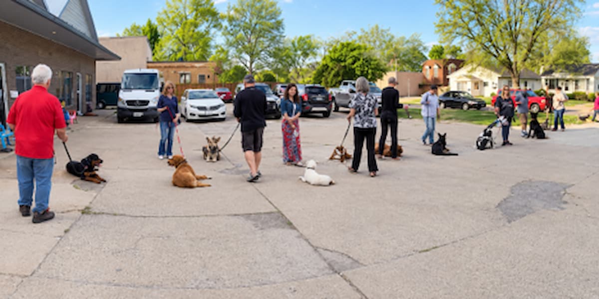 training camp for dogs Michigan