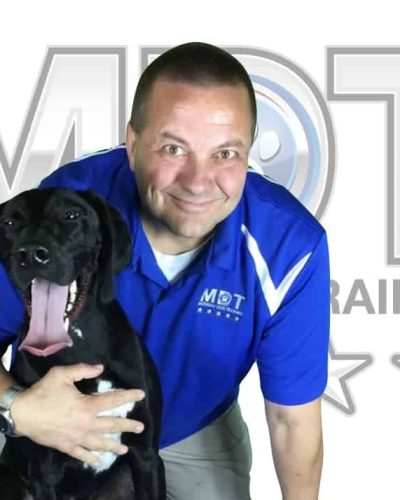 Michael Burkey, Dog Behaviorist, Michigan Dog Training, Plymouth, Michigan, German Short Hair Pointer